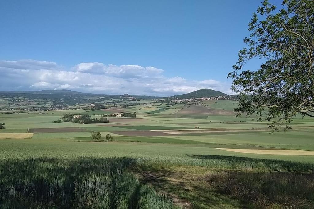 La Maisonnette Sous Le Cerisier Bergonne Esterno foto