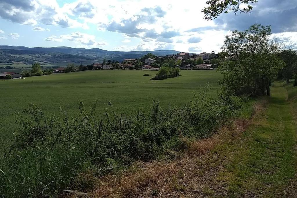 La Maisonnette Sous Le Cerisier Bergonne Esterno foto