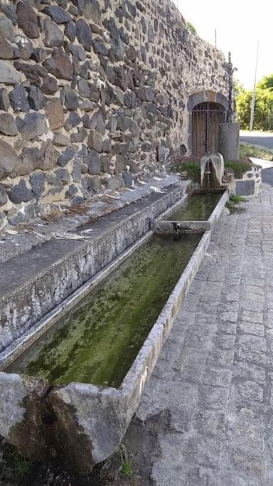 La Maisonnette Sous Le Cerisier Bergonne Esterno foto