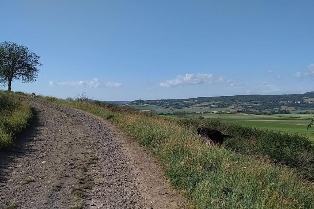 La Maisonnette Sous Le Cerisier Bergonne Esterno foto